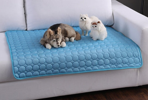 Tapis Fraîcheur Calypatte – Chien & Chat